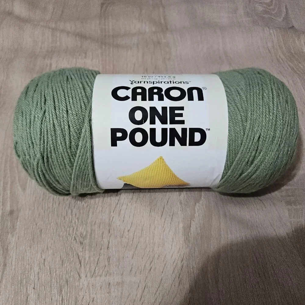 Caron One Pound 100% Acrylic Yarn 10655 Succulent 812 Yards - 16oz - #4 Worsted